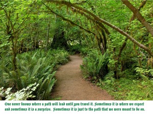 Rain Forest Path
